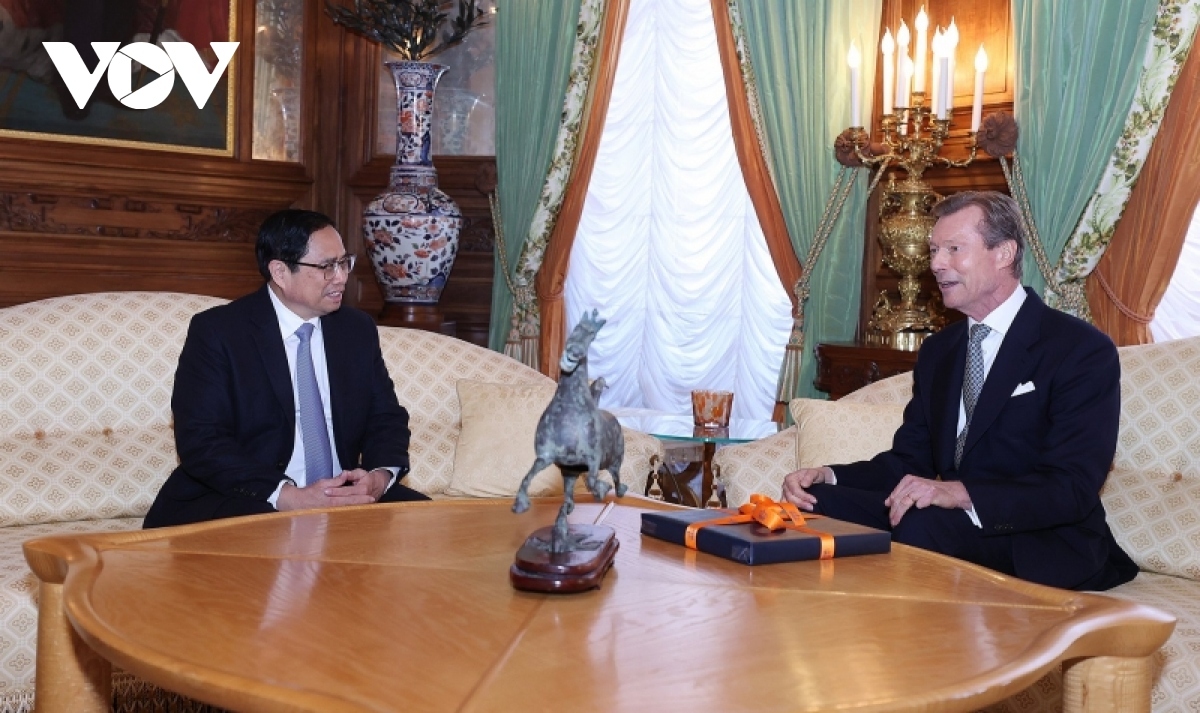Vietnamese Government chief meets Grand Duke of Luxembourg